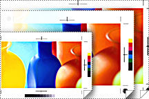 Epson Proofing Paper White Semimatte 17" x 100' photo paper
