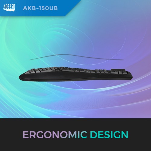 Adesso AKB-150UB keyboard Home/Office USB QWERTY US International Black