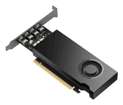 PNY NVIDIA RTX 2000E Ada Generation 16 GB GDDR6