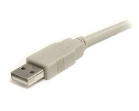 StarTech.com USBEXTAA10 USB cable USB 2.0 118.1" (3 m) USB A Beige