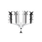 StarTech.com ARMDUAL30 monitor mount / stand 30" Desk Black, Silver