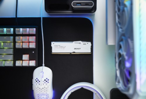 Kingston Technology FURY Beast RGB memory module 16 GB 1 x 16 GB DDR5 6800 MT/s ECC