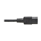 Tripp Lite P006-001 power cable Black 11.8" (0.3 m) NEMA 5-15P C13 coupler