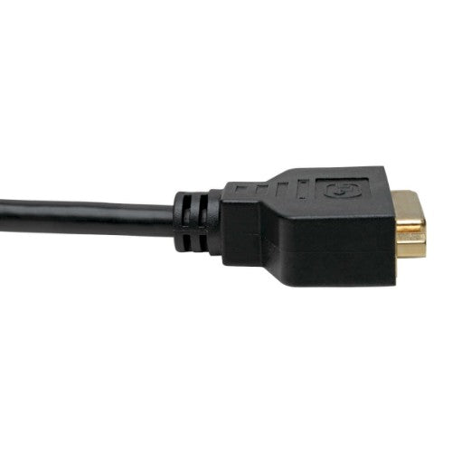 Tripp Lite P134-001-GC video cable adapter 12.2" (0.31 m) DisplayPort DVI-I Black
