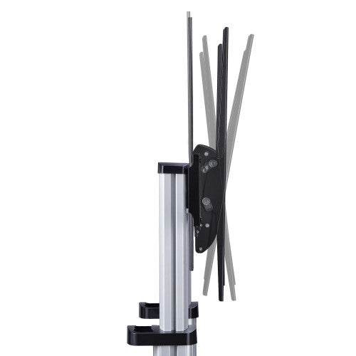 StarTech.com 1110C-MOBILE-TV-CART TV mount/stand 100" Black, Silver