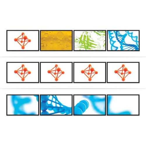 StarTech.com MSTDP124DP video splitter DisplayPort 4x DisplayPort