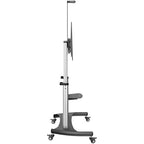 StarTech.com STNDMTV100 TV mount/stand 100" Black, Silver
