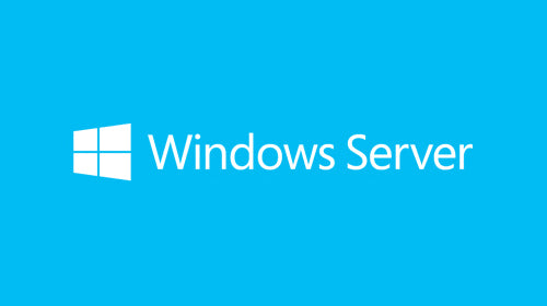 Microsoft Windows Server Standard 2019 1 license(s)