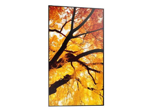 Sharp MultiSync PN-M982 Interactive flat panel 97.5" LED 550 cd/m² 4K Ultra HD Black 24/7