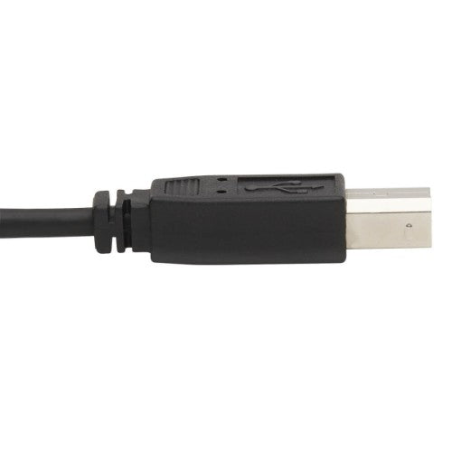 Tripp Lite P783-006-DP KVM cable Black 72" (1.83 m)