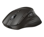 HP Ultra-Fast-Scroll Wireless Mouse 785M