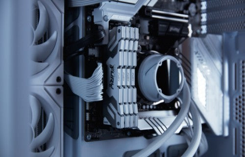 Kingston Technology FURY Renegade memory module 32 GB 2 x 16 GB DDR5 7200 MT/s