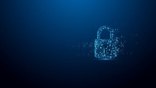 Kingston Technology IronKey D500S USB flash drive 16 GB USB Type-A 3.2 Gen 1 (3.1 Gen 1) Black