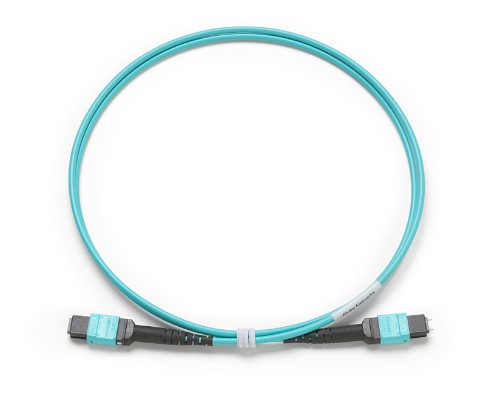 Fluke TRC-MPO-UP-B InfiniBand/fibre optic cable 39.4" (1 m) Blue