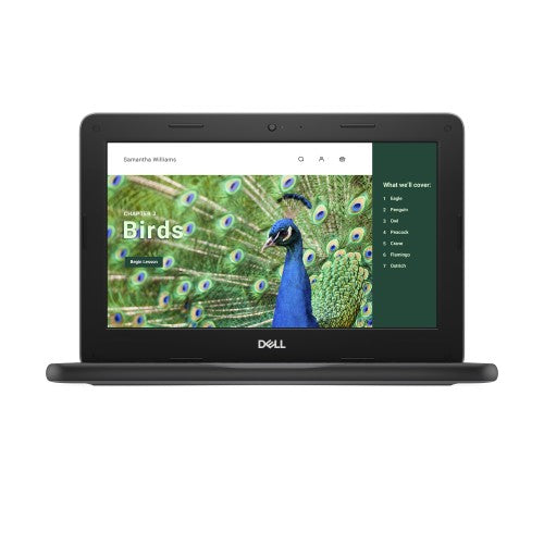 DELL Chromebook 3120 Intel® N N100 11.6" Touchscreen HD 8 GB 64 GB Flash Wi-Fi 6 (802.11ax) ChromeOS Black