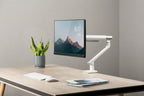 Amer Mounts HYDRA1A monitor mount / stand 34" Gray, White Desk