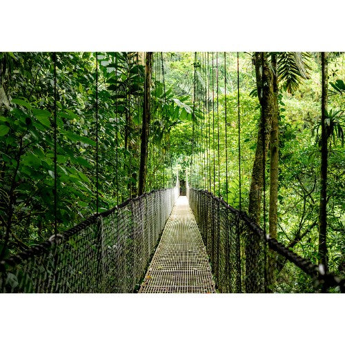 HP EliteBook 6 G1i AI PC Wolf Pro Security Edition Intel Core Ultra 7 255U Laptop 14" Touchscreen WUXGA 16 GB DDR5-SDRAM 512 GB SSD Wi-Fi 7 (802.11be) Windows 11 Pro Silver