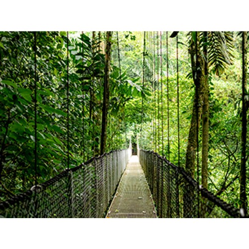 HP EliteBook 6 G1i 14 inch Notebook AI PC Wolf Pro Security Edition Intel Core Ultra 7 14" WUXGA 16 GB DDR5-SDRAM