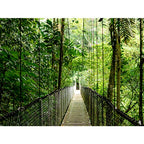 HP EliteBook 6 G1i 14 inch Notebook AI PC Wolf Pro Security Edition Intel Core Ultra 7 14" WUXGA 16 GB DDR5-SDRAM