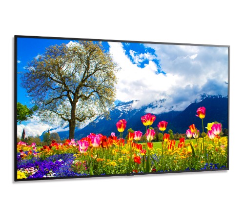 NEC MultiSync M981 signage display Digital signage flat panel 98" LCD 500 cd/m² 4K Ultra HD Black