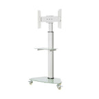 Tripp Lite DMCS3770SG75W signage display mount 70" White