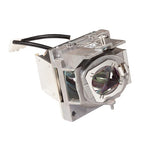 Viewsonic RLC-124 projector lamp