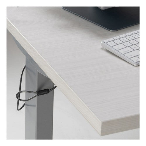 Targus HS5910GL cable lock Silver 78.7" (2 m)