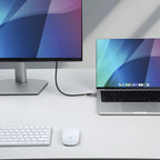 StarTech.com CC150CM80GUSB4CABLE USB cable USB4 Gen 4x2 59.1" (1.5 m) USB C Black