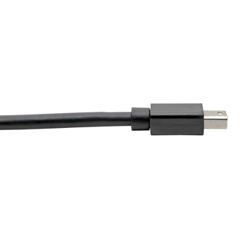 Tripp Lite P586-010-DVI video cable adapter 118.1" (3 m) MINI DISPLAYPORT DVI-D SINGLE LINK Black