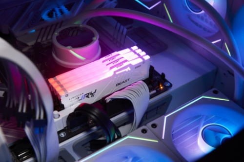 Kingston Technology FURY Beast RGB memory module 32 GB 2 x 16 GB DDR5 6400 MT/s ECC