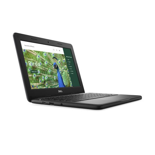 DELL Chromebook 3120 Intel® N N100 11.6" HD 4 GB 64 GB Flash Wi-Fi 6 (802.11ax) ChromeOS Black