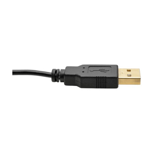 Tripp Lite P130-06N-DP-V2 video cable adapter 5.91" (0.15 m) HDMI DisplayPort Black