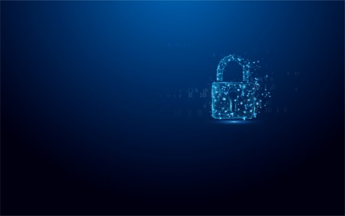 Kingston Technology IronKey Vault Privacy 50 USB flash drive 16 GB USB Type-C 3.2 Gen 1 (3.1 Gen 1) Black, Blue