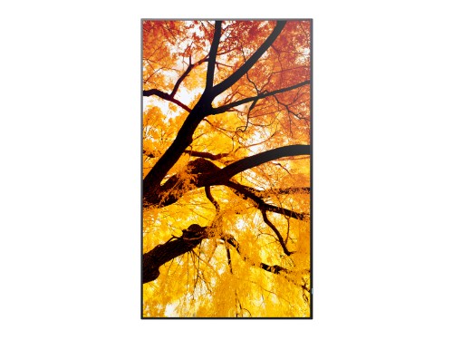 Sharp MultiSync M432 Digital signage flat panel 42.5" LCD 550 cd/m² 4K Ultra HD Black