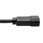 Tripp Lite P018-010 power cable Black 118.1" (3 m) C14 coupler C15 coupler