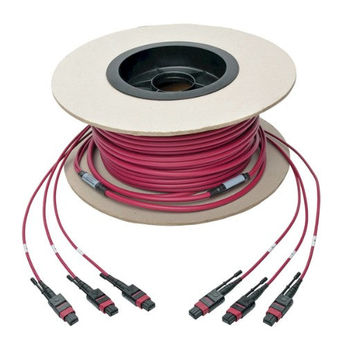 Tripp Lite N858-61M-3X8-MG InfiniBand/fibre optic cable 2401.6" (61 m) MTP Black, Magenta