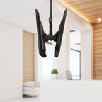 StarTech.com FPCEILBTB signage display mount 75" Black