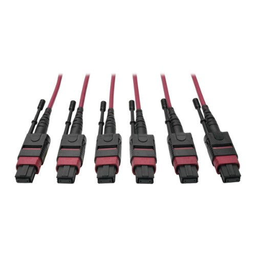 Tripp Lite N858-61M-3X8-MG InfiniBand/fibre optic cable 2401.6" (61 m) MTP Black, Magenta