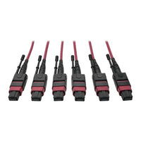 Tripp Lite N858-61M-3X8-MG InfiniBand/fibre optic cable 2401.6" (61 m) MTP Black, Magenta