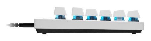 Logitech PRO X TKL Rapid keyboard Gaming USB QWERTY English White