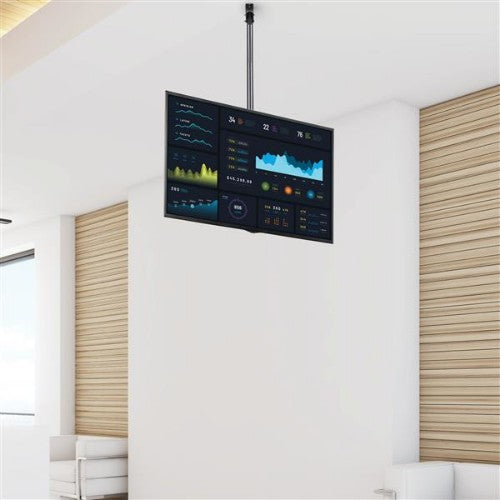 StarTech.com FPCEILPTBLP signage display mount 75" Black