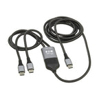 Tripp Lite U420P-2X6-100W USB cable USB 2.0 70.9" (1.8 m) USB C 2 x USB C Black, Gray