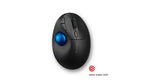 Kensington Pro Fit Ergo TB450 mouse Office Right-hand RF Wireless + Bluetooth Trackball 1600 DPI
