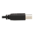 Tripp Lite P783-010 KVM cable Black 120.1" (3.05 m)