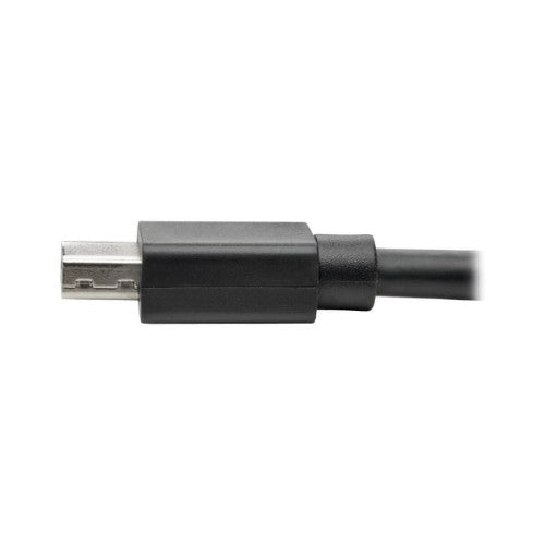 Tripp Lite P585-003 DisplayPort cable 35.4" (0.9 m) Mini DisplayPort Black