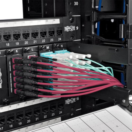 Tripp Lite N858-61M-3X8-MG InfiniBand/fibre optic cable 2401.6" (61 m) MTP Black, Magenta