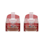 Tripp Lite N200-100-RD networking cable Red 1200.8" (30.5 m) Cat6 U/UTP (UTP)