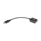 Tripp Lite P134-06N-VGA video cable adapter 5.91" (0.15 m) DisplayPort VGA (D-Sub) Black