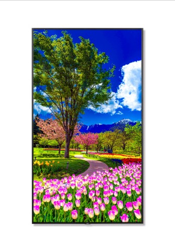 NEC MultiSync M981 signage display Digital signage flat panel 98" LCD 500 cd/m² 4K Ultra HD Black