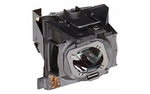 Viewsonic RLC-109 projector lamp